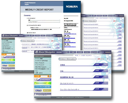 Credit Reporting Agencies Account Score Information